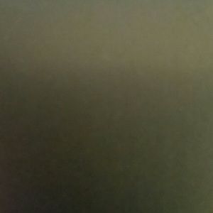 Meet your Posher, Kaela