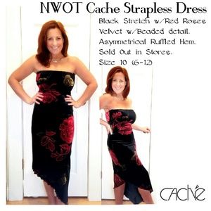 Cache Velvet Floral Strapless Dress as 10
