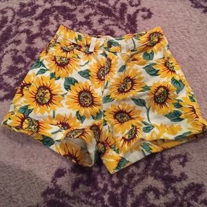 American Apparel sunflower high waisted shorts