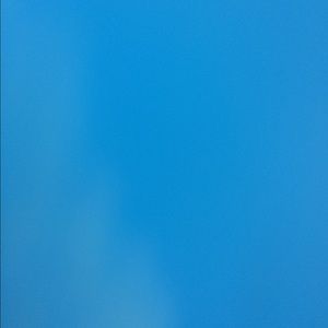 Meet your Posher, Brynn