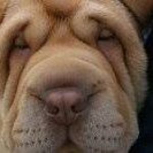 Meet your Posher, Beatriz