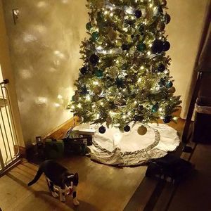 Meet your Posher, Wendy