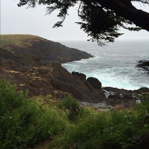 Meet your Posher, Cory