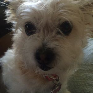 Meet your Posher, Beth