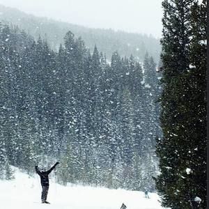 Meet your Posher, Tanner