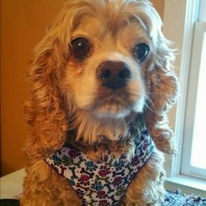 Meet your Posher, Sandy