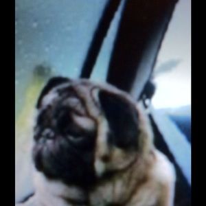 Meet your Posher, Margo