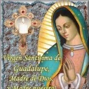 Meet your Posher, Annette