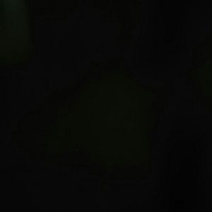 Meet your Posher, Rafael