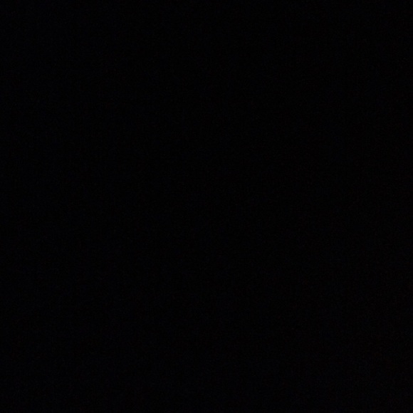 Meet your Posher, Molly