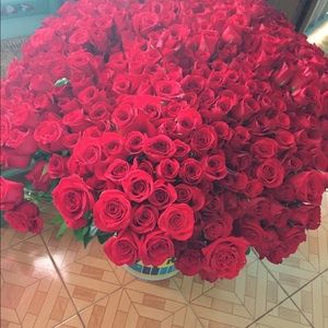 Meet your Posher, Mayra