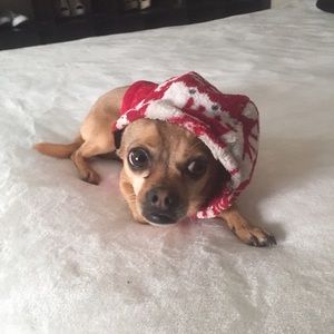 Meet your Posher, Esmeralda