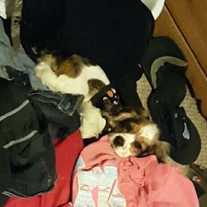 Meet your Posher, Audrey