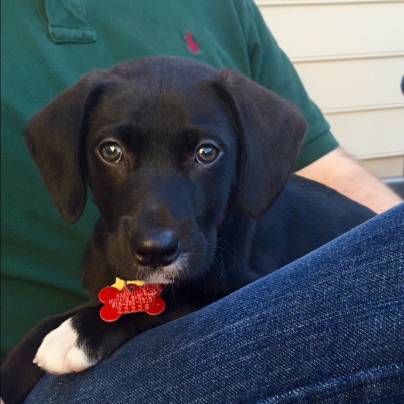 Meet your Posher, Lori - Picture 1 of 1