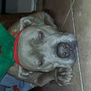 Meet your Posher, Victoria