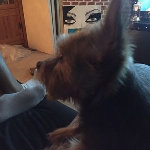 Meet your Posher, Ryan