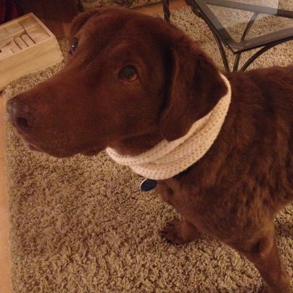 Hand-crafted Dog Infinity Scarf - Picture 4 of 4