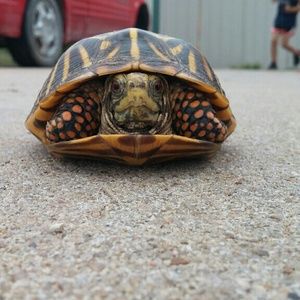 Meet your Posher, Jackie