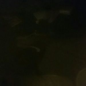 Meet your Posher, Bobby