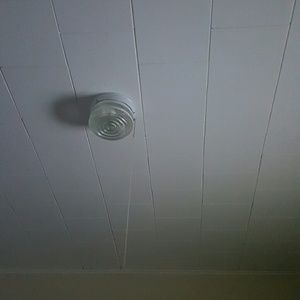 Meet your Posher, Winston