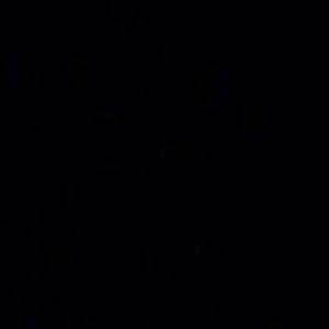 Meet your Posher, Kiki