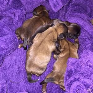 Meet your Posher, Krystal