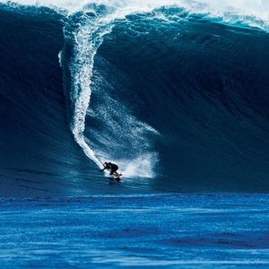 Meet your Posher, Scott