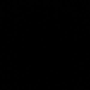 Meet your Posher, Alejandro