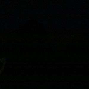 Meet your Posher, Destiny