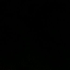 Meet your Posher, Deon