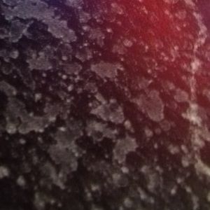 Meet your Posher, Cherry