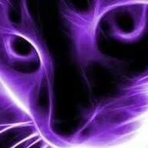 Meet your Posher, Niecy