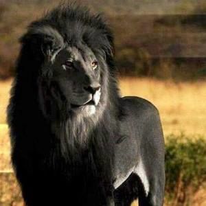 Meet your Posher, Yusef