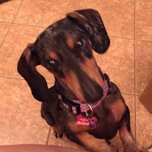 Meet your Posher, Kim