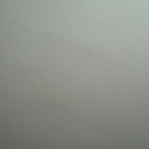 Meet your Posher, Tanika