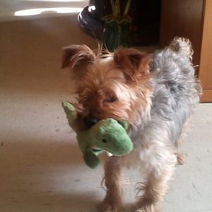 Meet your Posher, Kevin