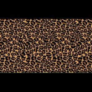 Meet your Posher, Jashawnna