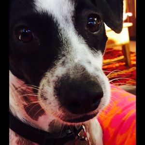 Meet your Posher, Erika