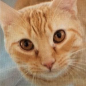 Meet your Posher, Courtney