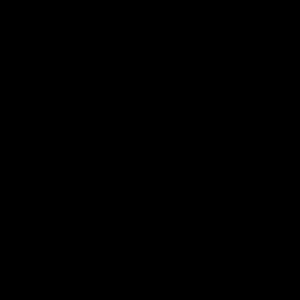 Meet your Posher, Manuel