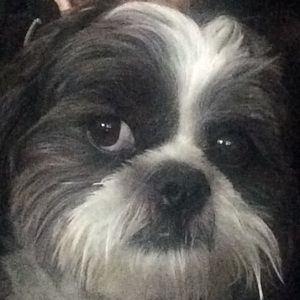 Meet your Posher, Lisa