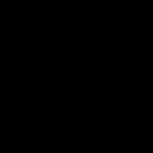 Meet your Posher, Justine