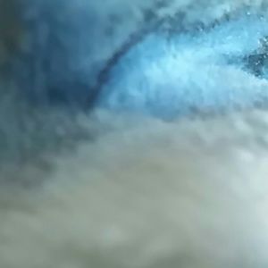 Meet your Posher, Blake