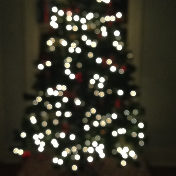 Meet your Posher, Cheyenne