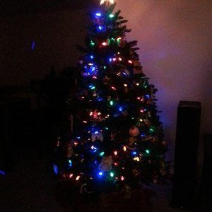 Meet your Posher, Tom-andrea