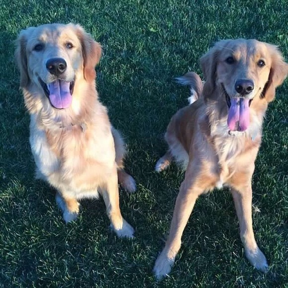 Meet your Posher, Ashlee - Picture 2 of 2