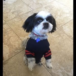 Meet your Posher, June