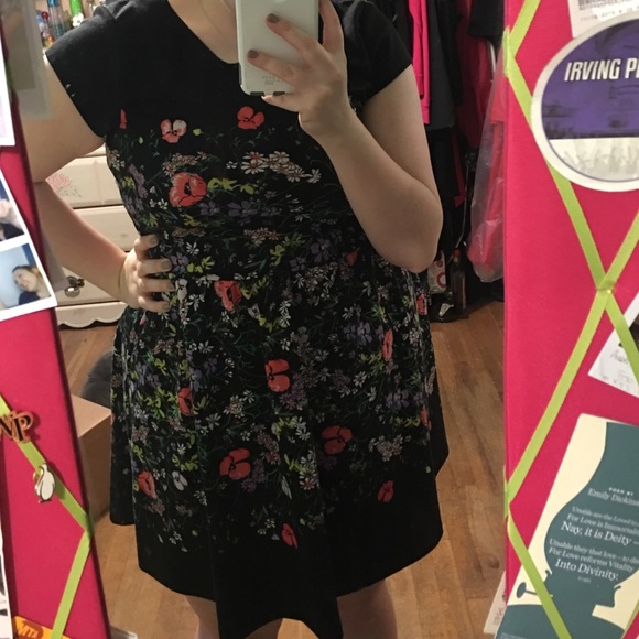 Lauren Conrad Collared Floral Dress