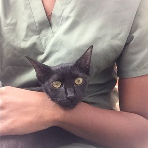 Meet your Posher, Misha