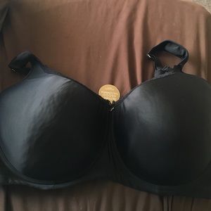 46DDD Ashley Stewart Butterfly Bra